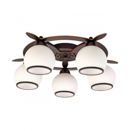 Люстры накладные — Накладная люстра Omnilux OML-50507-05 купить в 