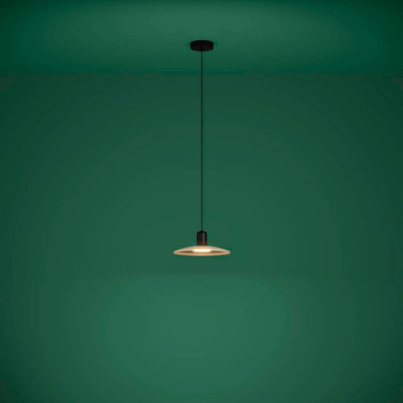 Подвесные светильники — Подвесной светильник EGLO 39911 купить в 