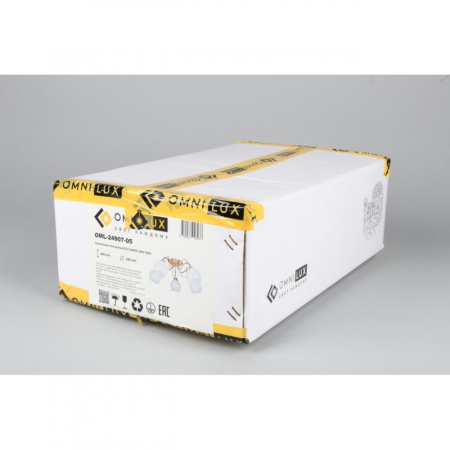 Люстры накладные — Накладная люстра Omnilux OML-24907-05 купить в 