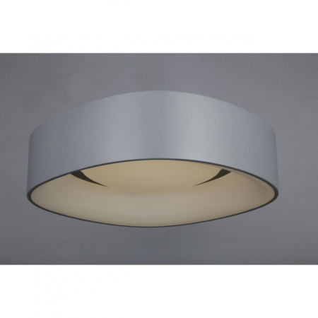 Накладные светильники — Накладной светильник Omnilux OML-45217-51 купить в 