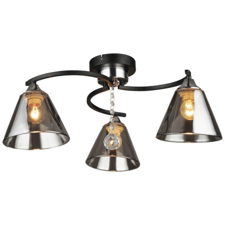 Потолочные люстры — Потолочная люстра Seven Fires Савока 66273.01.13.03 купить в  Потолочные люстры — Потолочная люстра Seven Fires Савока 66273.01.13.03 купить в