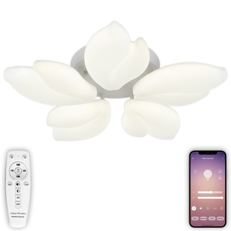 Люстры накладные — Накладная люстра Natali Kovaltseva LED LAMPS 81116 купить в 