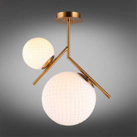 Накладные светильники — Накладной светильник APLOYT APL.300.07.02 купить в 