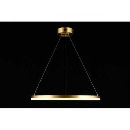 Подвесные светильники — Подвесной светильник APLOYT APL.049.13.40 купить в 