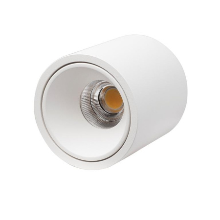 Накладные точечные светильники — Накладной светильник LeDron RINBOK White купить в  Накладные точечные светильники — Накладной светильник LeDron RINBOK White купить в