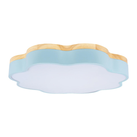 Накладные светильники — Накладной светильник LOFT IT 10225/36 Blue купить в 