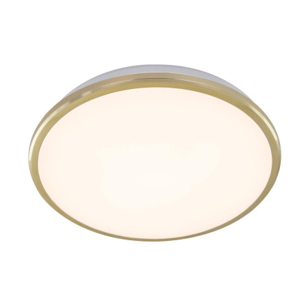 Накладные уличные светильники — Накладной уличный светильник Citilux CL702222W купить в 