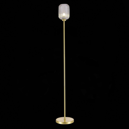 Торшеры и напольные светильники — Торшер ST-Luce SL1154.325.01 купить в 