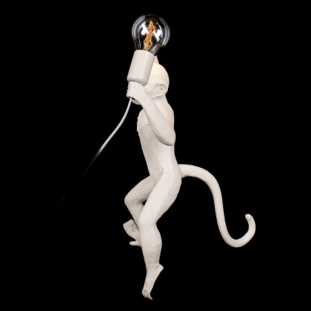 Настенные бра — Бра LOFT IT 10314W/B купить в 