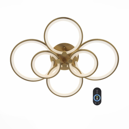 Накладные светильники — Накладной светильник ST-Luce SL867.302.06 купить в 