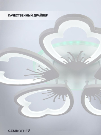 Потолочные люстры — Потолочная светодиодная люстра Seven Fires Ferenk SF5028/5C-WT-RGB купить в 