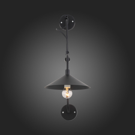 Настенные бра — Бра ST-Luce SL265.401.01 купить в  Настенные бра — Бра ST-Luce SL265.401.01 купить в
