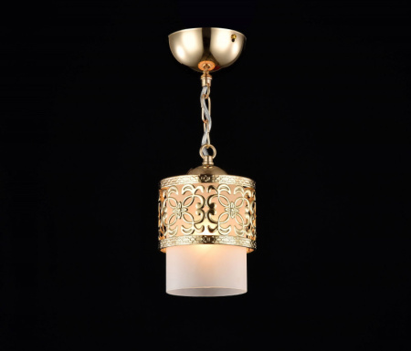 Подвесные светильники — Подвесной светильник Freya FR2200-PL-01-G купить в 