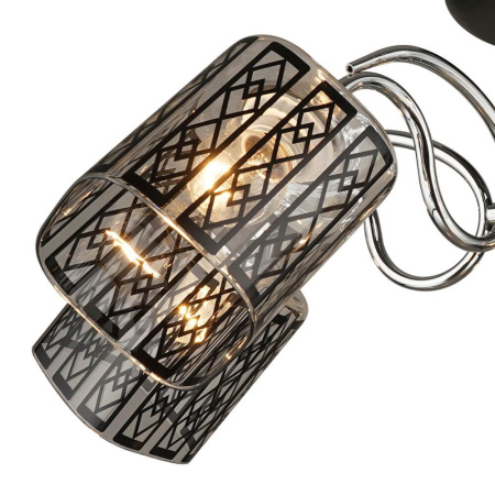 Потолочные люстры — Потолочная люстра Seven Fires Kamerano 66433.01.13.05 купить в  Потолочные люстры — Потолочная люстра Seven Fires Kamerano 66433.01.13.05 купить в