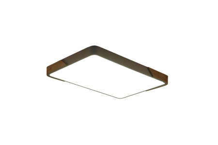 Накладные светильники — Накладной светильник Zortes ZRS.01233.60 купить в  Накладные светильники — Накладной светильник Zortes ZRS.01233.60 купить в