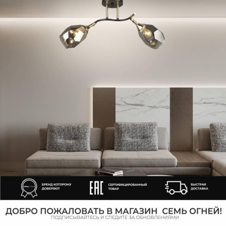 Потолочные люстры — Потолочная люстра Seven Fires Koul SF3329/2C-CF-FGD-SMK купить в  Потолочные люстры — Потолочная люстра Seven Fires Koul SF3329/2C-CF-FGD-SMK купить в
