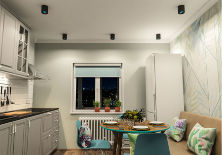 Накладные точечные светильники — Накладной светильник Denkirs DK3090-BK+CY купить в 