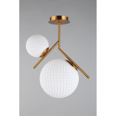 Накладные светильники — Накладной светильник APLOYT APL.300.07.02 купить в 