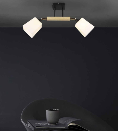 Споты — Спот Seven Fires Lion WD3508/2C-BK-WT купить в 