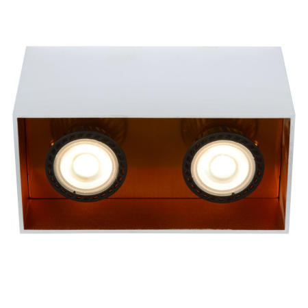 Накладные точечные светильники — Накладной светильник LUCIDE 22966/02/31 купить в 