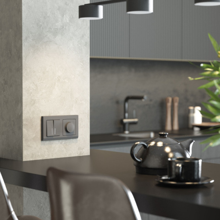 Выключатели — Выключатель Werkel W1120164 купить в 