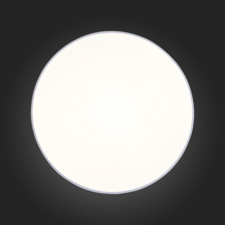 Накладные светильники — Накладной светильник ST-Luce SL417.502.01 купить в 