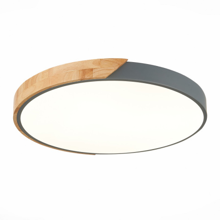 Накладные светильники — Накладной светильник Evoluce SLE200972-01 купить в 