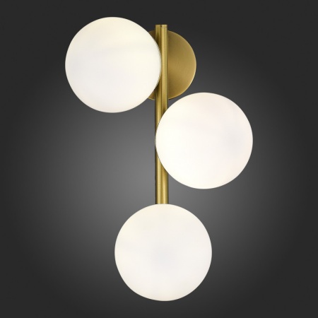 Настенные бра — Бра Evoluce SLE1191-201-03 купить в  Настенные бра — Бра Evoluce SLE1191-201-03 купить в