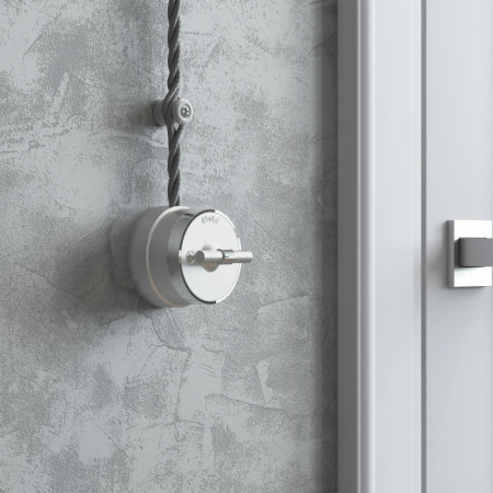 Выключатели — Выключатель Werkel W5812054/ Переключатель одноклавишный Vintage (серебро матов купить в 