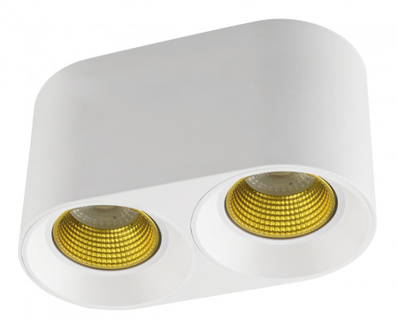 Накладные точечные светильники — Накладной светильник Denkirs DK3096-WH+YE купить в 