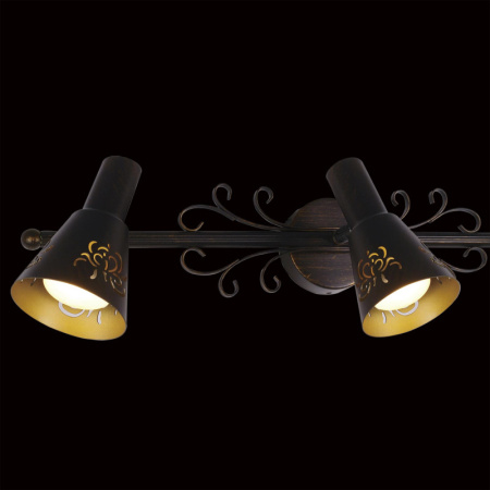 Споты — Спот Citilux CL529531 купить в  Споты — Спот Citilux CL529531 купить в