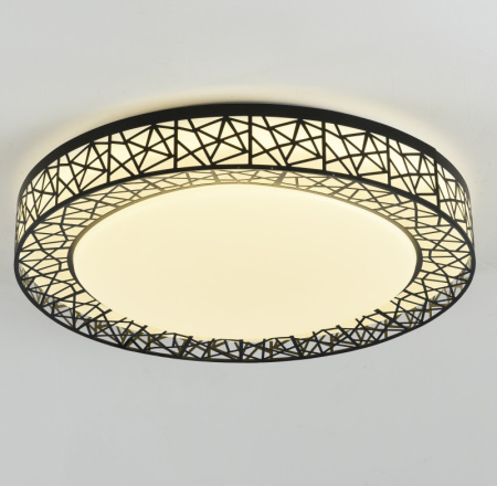 Накладные светильники — Накладной светильник F-Promo 2315-5C купить в 