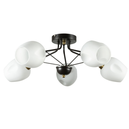 Люстры накладные — Накладная люстра ARTE Lamp A2706PL-5CK купить в  Люстры накладные — Накладная люстра ARTE Lamp A2706PL-5CK купить в