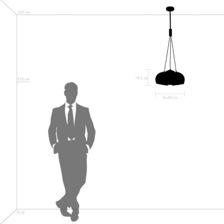 Люстры подвесные — Подвесная люстра Lightstar 729031 купить в  Люстры подвесные — Подвесная люстра Lightstar 729031 купить в