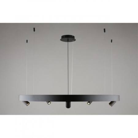 Люстры подвесные — Подвесная люстра APLOYT APL.041.13.75 купить в 