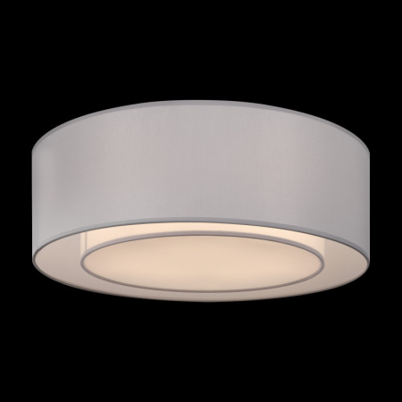 Накладные светильники — Накладной светильник Maytoni MOD617CL-04GR купить в 