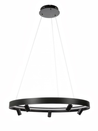 Люстры подвесные — Подвесная люстра MyFar MR2201-1PL купить в 