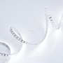 Светодиодные ленты — Лента Arlight 013747(B) купить в  Светодиодные ленты — Лента Arlight 013747(B) купить в
