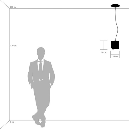 Подвесные светильники — Подвесной светильник Lightstar 802111 купить в 