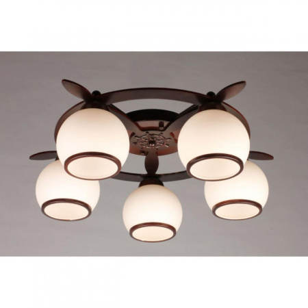 Люстры накладные — Накладная люстра Omnilux OML-50507-05 купить в 