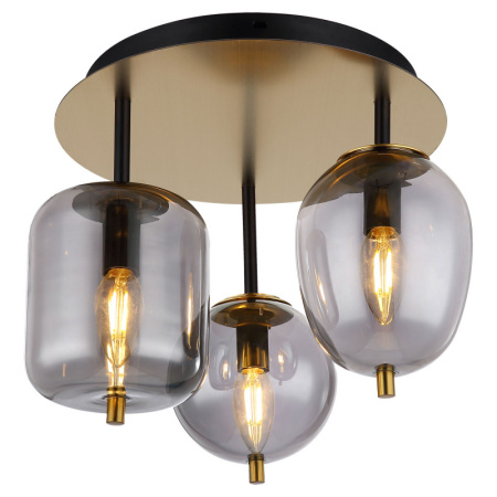 Люстры накладные — Накладная люстра Lussole LSP-8730 купить в 