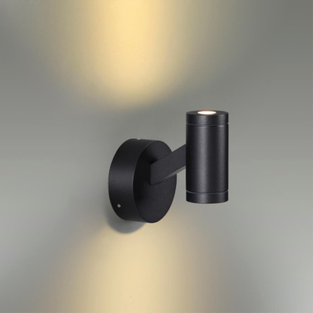 Уличные настенные светильники — Светильник настенный Odeon Light 6636/6WL купить в 