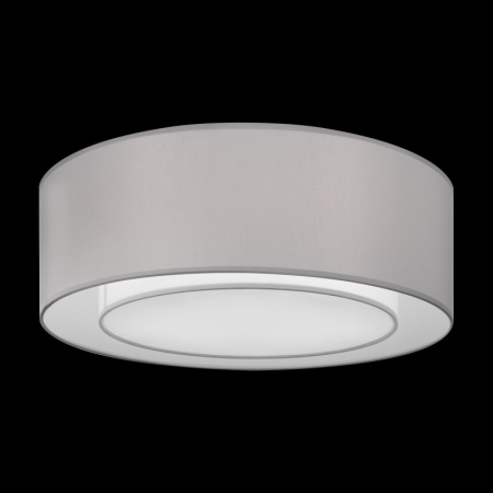 Накладные светильники — Накладной светильник Maytoni MOD617CL-04GR купить в 