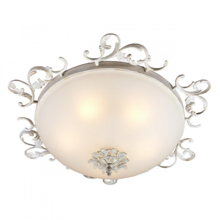 Накладные светильники — Накладной светильник Omnilux OML-76517-05 купить в 