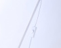 Торшеры и напольные светильники — Торшер Ambrella Light TR97612 купить в  Торшеры и напольные светильники — Торшер Ambrella Light TR97612 купить в