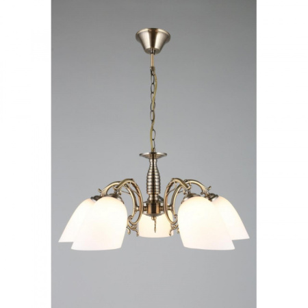 Люстры подвесные — Подвесная люстра Omnilux OML-56407-05 купить в 