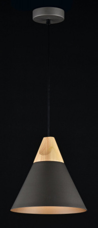 Подвесные светильники — Подвесной светильник Maytoni P359-PL-220-C купить в 