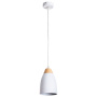 Подвесные светильники — Подвесной светильник ARTE Lamp A5167SP-1WH купить в  Подвесные светильники — Подвесной светильник ARTE Lamp A5167SP-1WH купить в