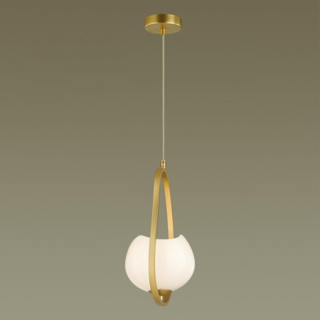 Подвесные светильники — Подвесной светильник Odeon Light 4873/1 купить в 