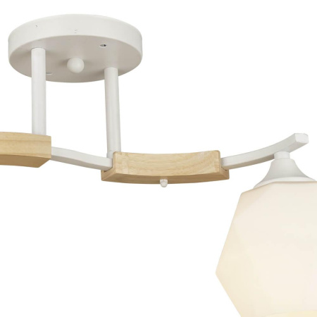 Потолочные люстры — Потолочная люстра Seven Fires Lalio 66587.01.09.02 купить в 